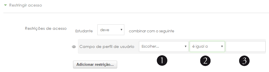 Atividade condicional - Restrição por perfil.png