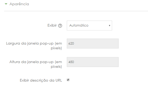 Recurso URL - Aparência.png