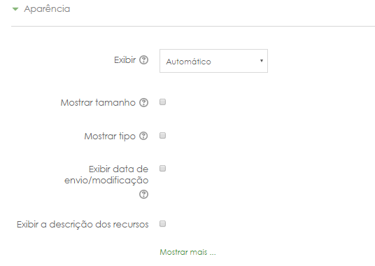 Adicionando arquivo - Aparência.png