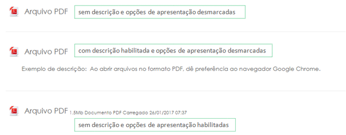 Arquivos - Tipos exibição.png