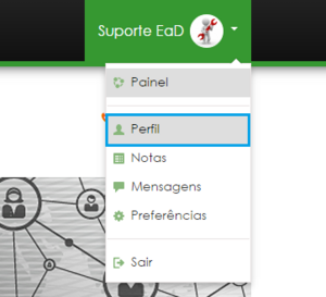 Menu superior - Acessando o perfil.png