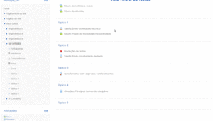 Relatório de notas da disciplina.gif