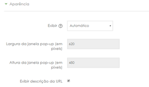 Recurso URL - Aparência.png